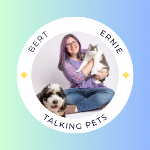 Bert and Ernie Best Friends